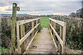 Bickenhall : Footbridge in TA3 5SN