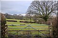 Curland : Grassy Field & Gate in TA3 5SE