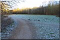 Frosty footpath in Wymondley Wood in SG6 2UB