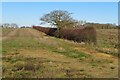 Farm track by Graveley Lane in SG4 7LP