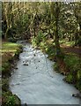 Menacuddle - St Austell River north of footbridge in PL25 5QP