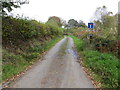 Hedge-lined minor road giving access to Penybanc in SA19 8BQ