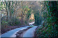 Country Lane near Garway in HR2 8PY