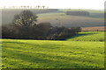 Pasture, Broad Chalke in SP5 5DY