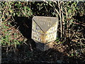 Old Milepost near Brick House Farm, Tillington in HR4 8LQ