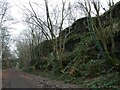 Millstone grit cutting, west of Hornthwaite Bridge in S36 9QY
