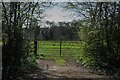 Alveston : Grassy Field & Gate in BS35 3RH