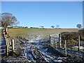Frosty field entrance, Stravenhouse in ML8 5HH