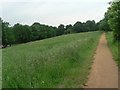 Alexandra Palace Park: path through long grass in N22 6DR