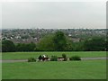 Alexandra Palace Park: enjoying the view in N8 7HG