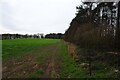 Strip of woodland north of Marton Lane in HG5 0QT