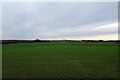 Field south of Marton Lane in HG5 0QT