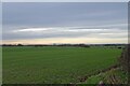 Fields beside Marton Lane in HG5 0QT