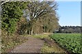 Field path north from East Anton in SP11 6JP
