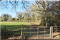Field gate south of Long Copse in SP11 6JG