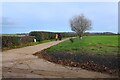 Shakespeare's Avon Way at Spring Hill Farm in WR10 2PE