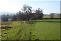Footpath through farmland in GL6 6NN