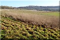 Farmland in the Holcombe valley in GL6 6NN