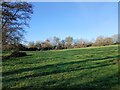 Footpath towards Beacon Hill in SN11 8TH