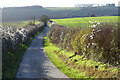 Road and farmland, Broad Chalke in SP5 5EF