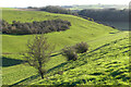 Downland, Broad Chalke in SP5 5ET
