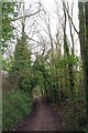Pole Lane Path in SG12 0XU