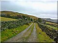 Farmers' track to Pobgreen in OL3 5JS