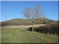 Towards Alderton Hill in Alderton (Tewkesbury)