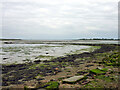 Tidal causeway to Osea Island in Heybridge East Ward