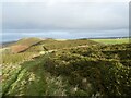 On the ridge between Moel y Waun and Moel yr Accre in LL15 2HW