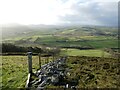 Ruined dry stone wall on Moel yr Accre in LL15 2HW