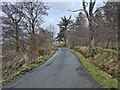 Minor road at Camustianavaig in IV51 9LQ