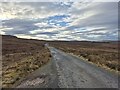 Minor road towards Glenmore in IV51 9LN