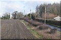 Field edge beside the A338 in SP4 0HW