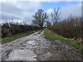 Very muddy bridleway at Sutton Marsh in HR1 3NL