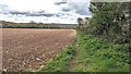 Bridleway along the field edge in TR14 0NW