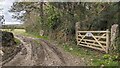 A private track into Philly Davis' Grove in TR14 0NW