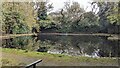 The overflow pond below the ornamental lake in TR14 0PT