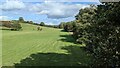 Field near Willow Farm in HR6 0RZ