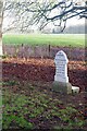 William Ingles grave - Marston Trussell Churchyard in LE16 9TU