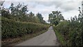 Country Lane near Orleton in SY8 4HP