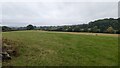 Field with sheep near Whatmore Farm in SY8 3AY