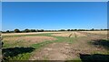 Field near Poynton Grange in SY4 4JN