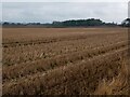 Large flat field of stubble in KY13 9EZ