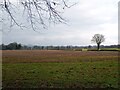 View across farmland in KY13 8EU