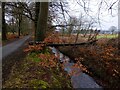 Fallen tree or informal bridge in KY13 8EU