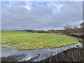 Flood at southern end of field in Bearpark