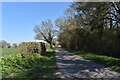 Lane adjacent to Spring Covert, Theberton in Theberton