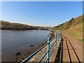 Riverside path by River Tyne looking southwest towards St Anthony's Point in NE6 3XG