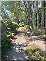 Shady track between Park Heath and Thorny Pits in TF9 2NP